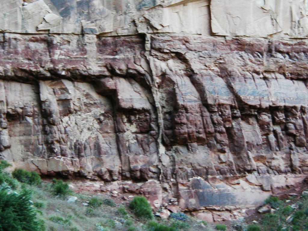 p5262687e.jpg (large)