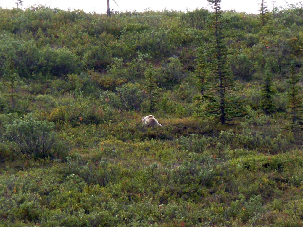 p1050769e.jpg (large)