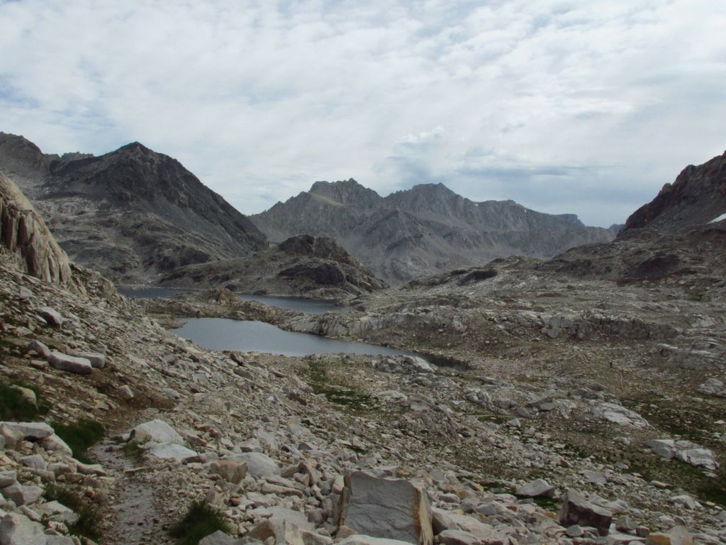 img_1119.jpg (large)